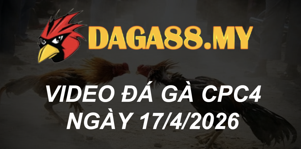 VIDEO GÀ CPC4 NGÀY 17/4/2026